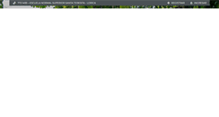 Desktop Screenshot of norssatelorica.com
